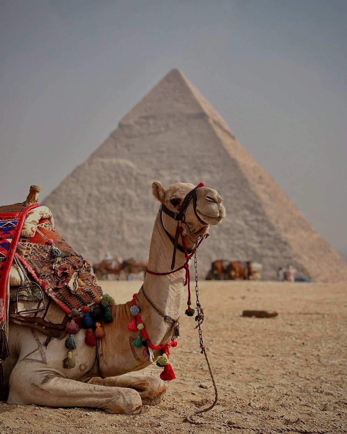Cairo Tour Package | 4 Days Giza, Pyramids & Nile Cruise